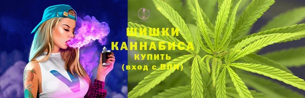 тгк Бородино