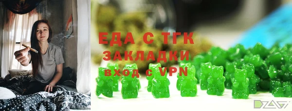 тгк Бородино