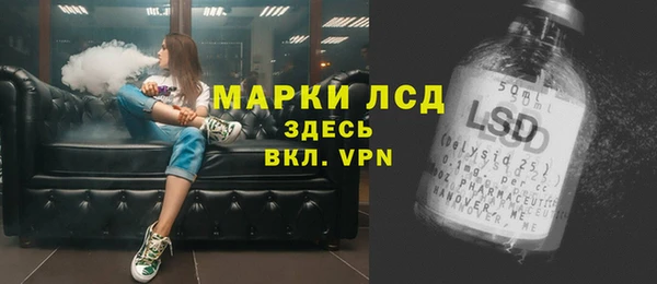 тгк Бородино