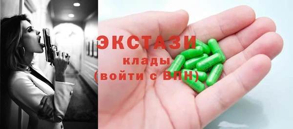 тгк Бородино