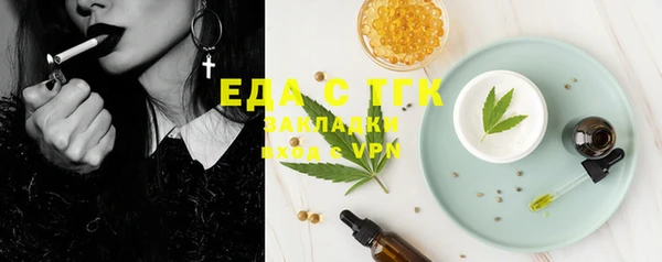 тгк Бородино